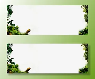 热带雨林植物边框免抠