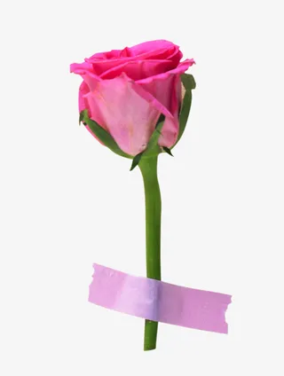 节日氛围情人节玫瑰花免抠