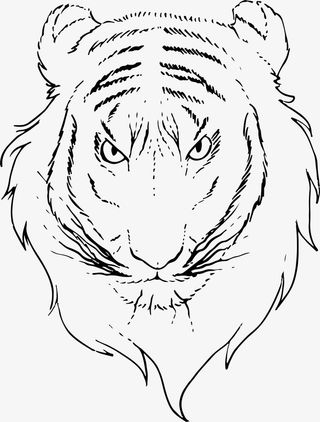 手绘白色老虎免抠