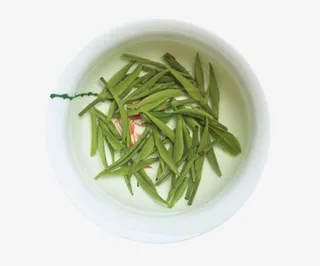 杯底的茶底毛尖免抠