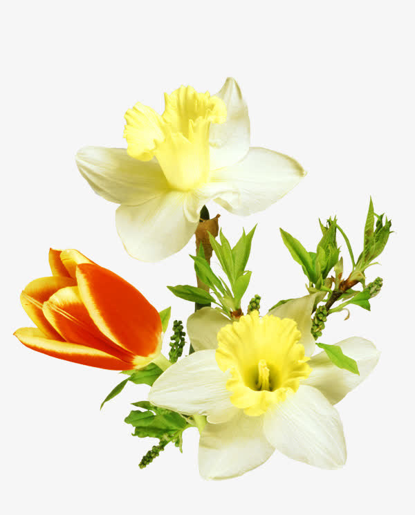 装饰鲜花绿叶免扣背景png图