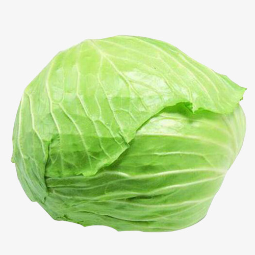 一颗大平包菜免抠