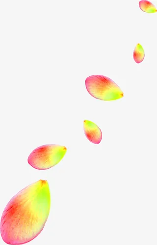 红色清新花瓣漂浮素材免抠