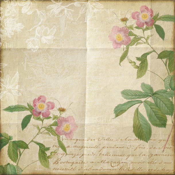 粉色花朵背景素材