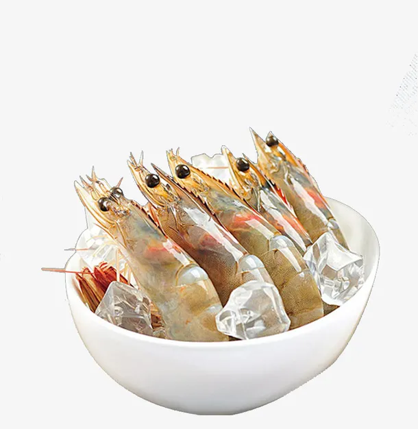 营养南美白对虾PNG免抠