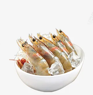 营养南美白对虾PNG免抠