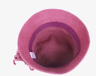 女秋冬中年女士帽子免抠