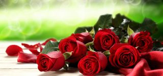玫瑰花束高清