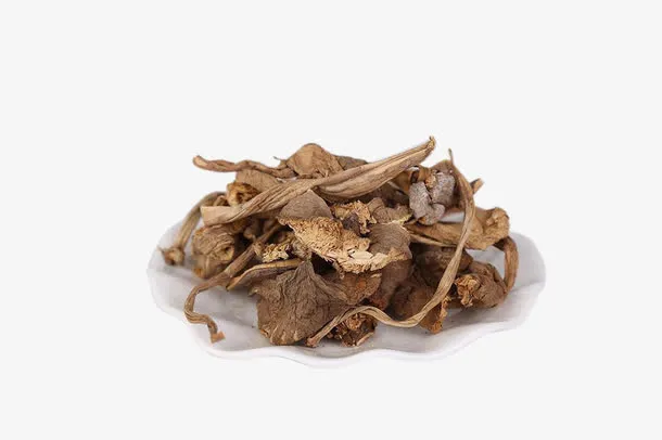 云南新鲜精选优质野生鸡枞菌免抠