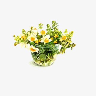 一盆开着白色蝴蝶兰的盆景免抠