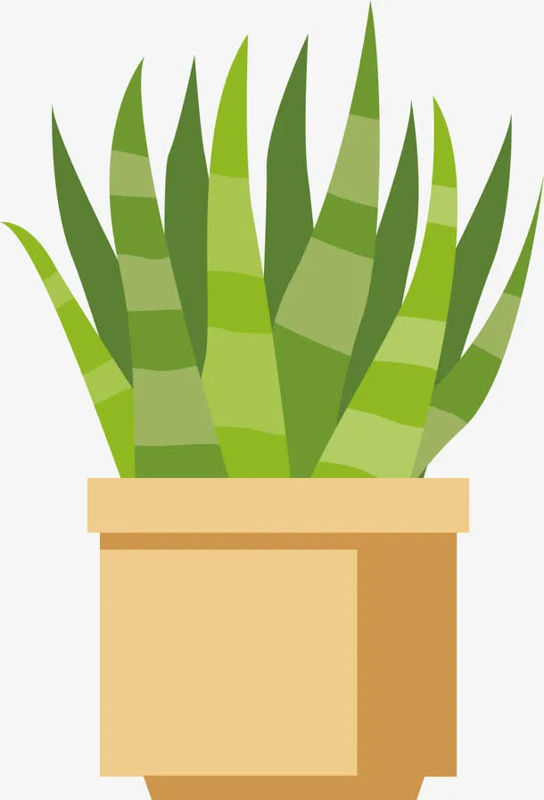 盆栽多肉PNG下载免抠