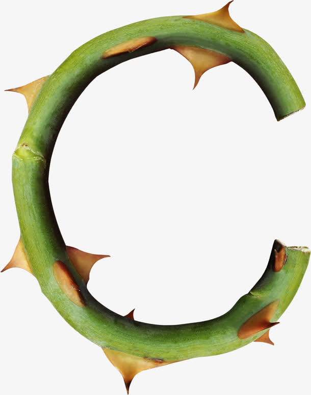 英文字母C免抠
