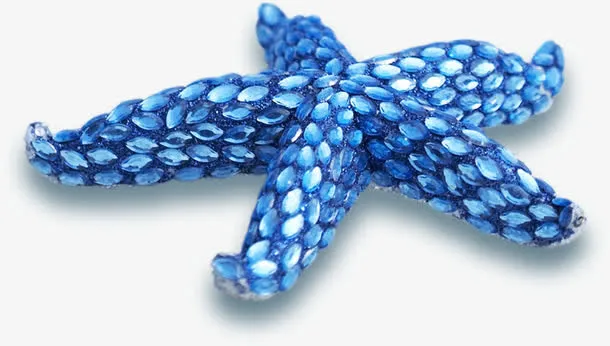 蓝色钻石海星夏天免抠