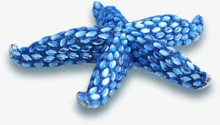 蓝色钻石海星夏天免抠