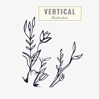 植物花卉森系手绘免抠