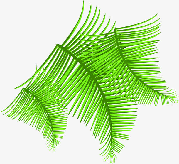 绿色卡通清爽设计树枝免抠
