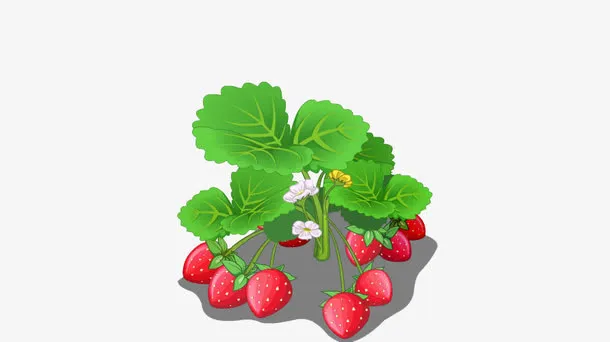 卡通草莓免抠