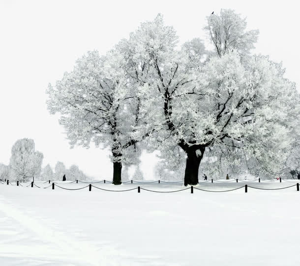 冬季雪景免抠