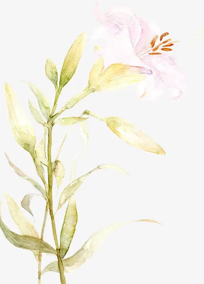 手绘淡粉色小花绿叶免抠
