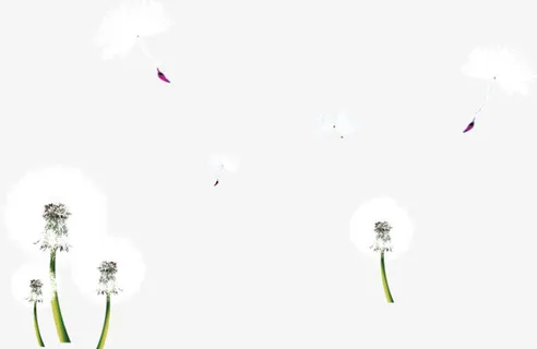 春天蒲公英免抠