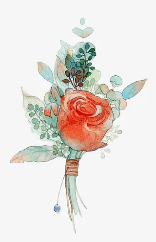 水彩玫瑰免抠