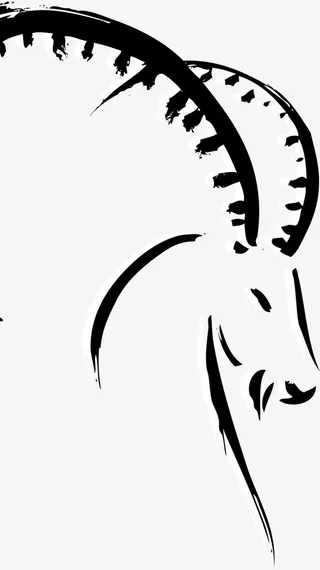 手绘黑色山羊免抠