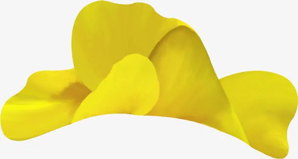美丽花朵免抠