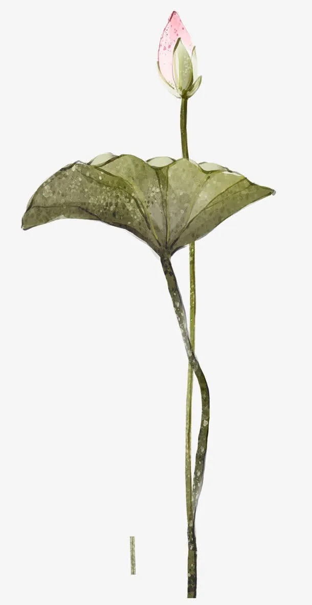 中国风水墨荷花装饰图案免抠