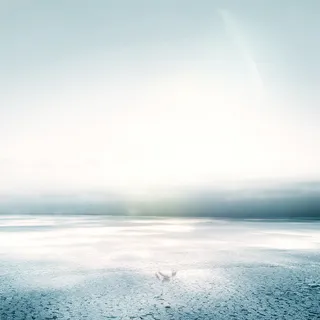 平地辽阔主图高清