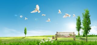 春天自然绿色海报背景高清