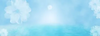 白色花瓣梦幻蓝色banner背景高清