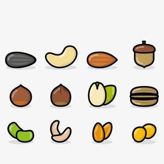 矢量手绘坚果免抠