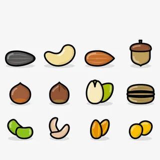 矢量手绘坚果免抠