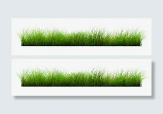 高清草坪素材免抠