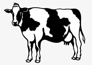 一只奶牛免抠
