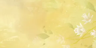 淘宝天猫详情页海报背景高清