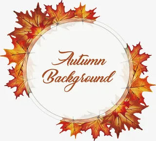 金秋枫叶标题框免抠