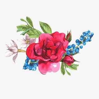 红色花朵植物矢量图免抠