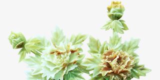 中国浮雕花朵免抠