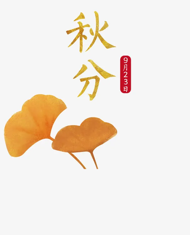 秋分9月23日银杏叶矢量图免抠