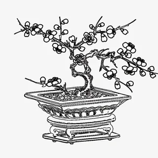 梅花盆景简笔画免抠