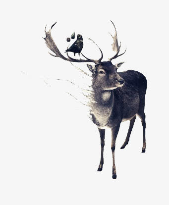 梦幻元素 鹿免抠