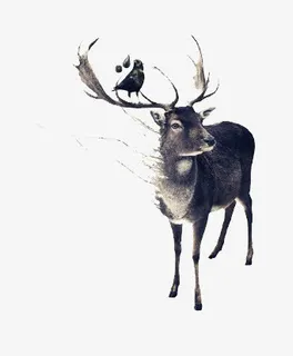 梦幻元素 鹿免抠 梦幻元素 鹿免抠
