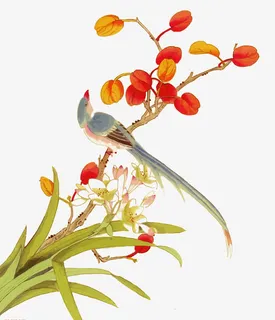 矢量手绘花鸟免抠