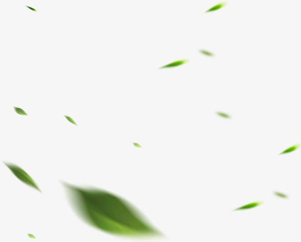 飘飞树叶效果免抠