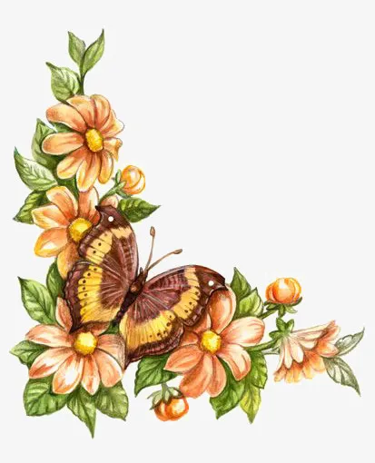 花朵边框免抠
