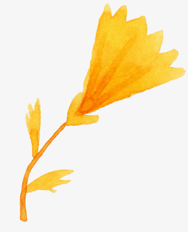一枝金色花卉免抠