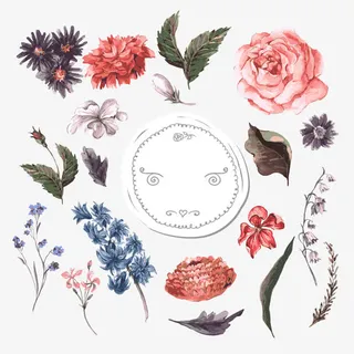 小清新水彩植物插画免抠 小清新水彩植物插画免抠