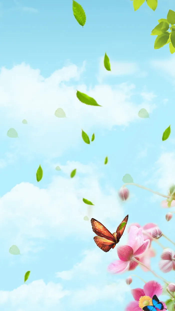 女装H5背景高清
