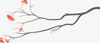 手绘粉色小花树枝免抠